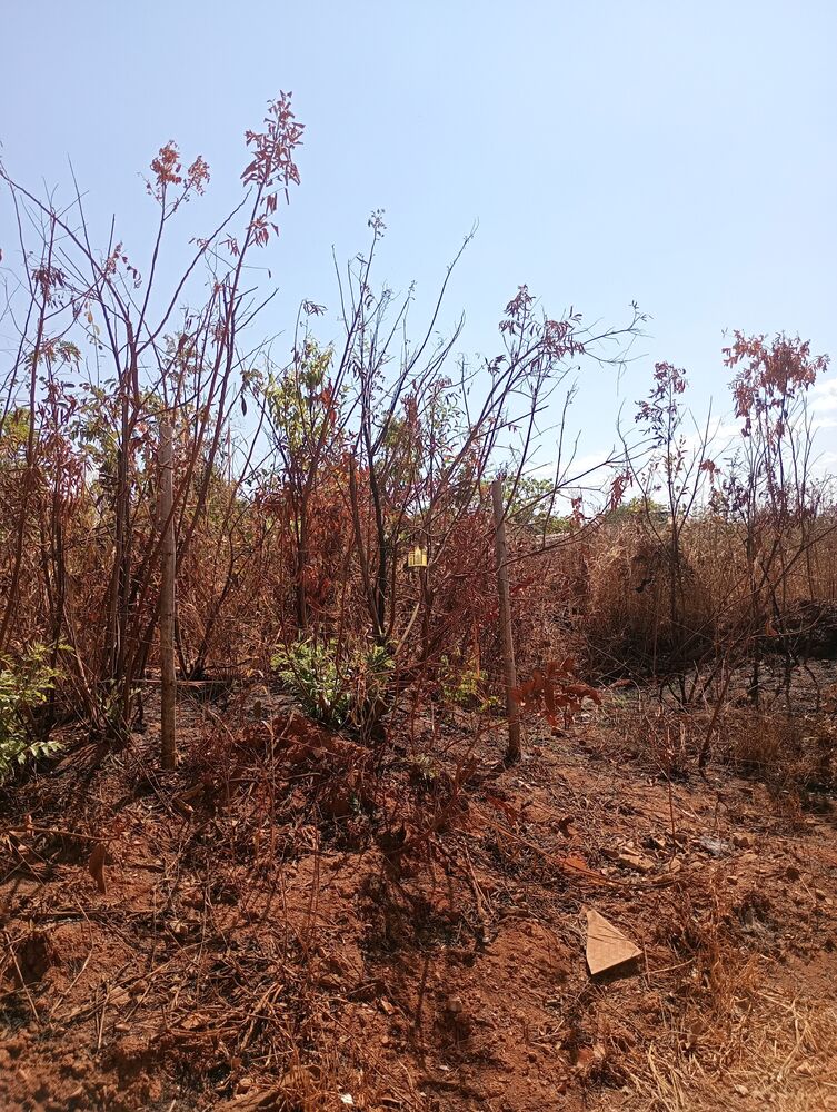 Terreno, 408 m² - Foto 5