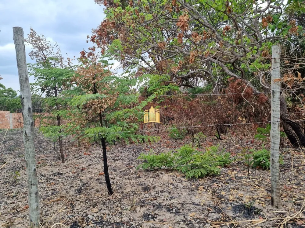 Terreno, 360 m² - Foto 8