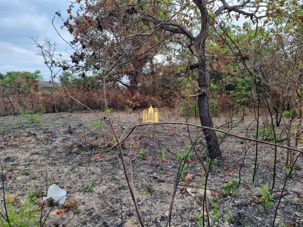 Terreno, 360 m² - Foto 4