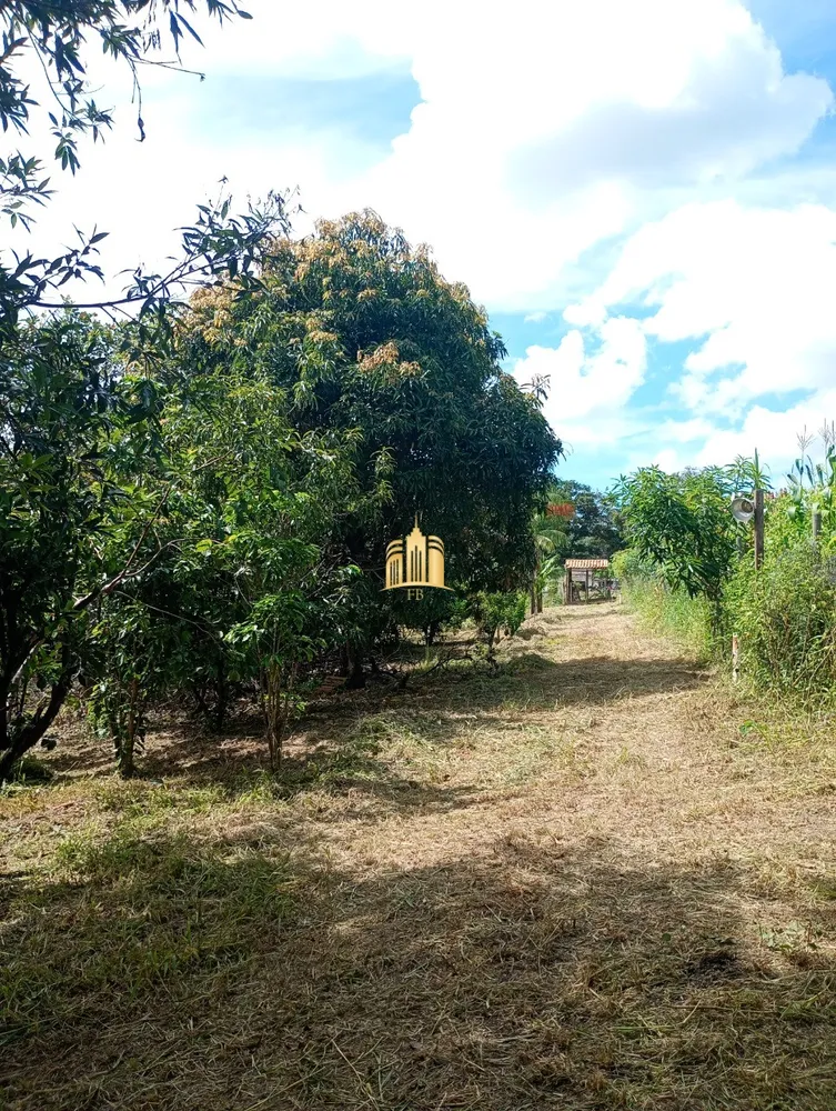 Chácara, 3 quartos, 1555 m² - Foto 3