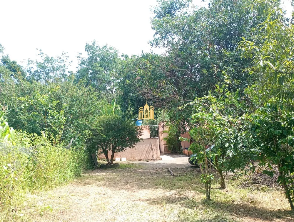 Sítio, 3 quartos, 1555 m² - Foto 2