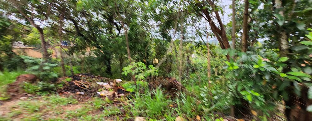 Terreno, 450 m² - Foto 7