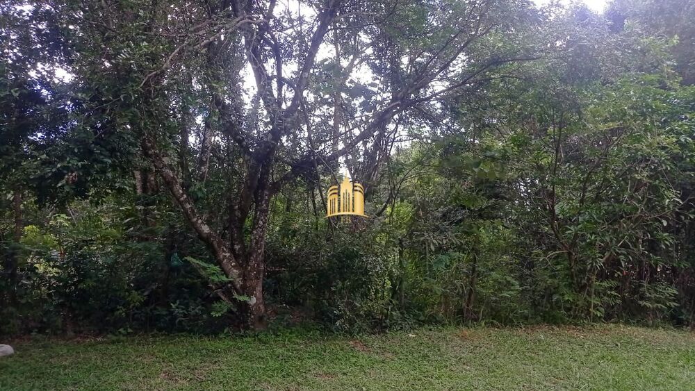 Terreno, 2500 m² - Foto 2