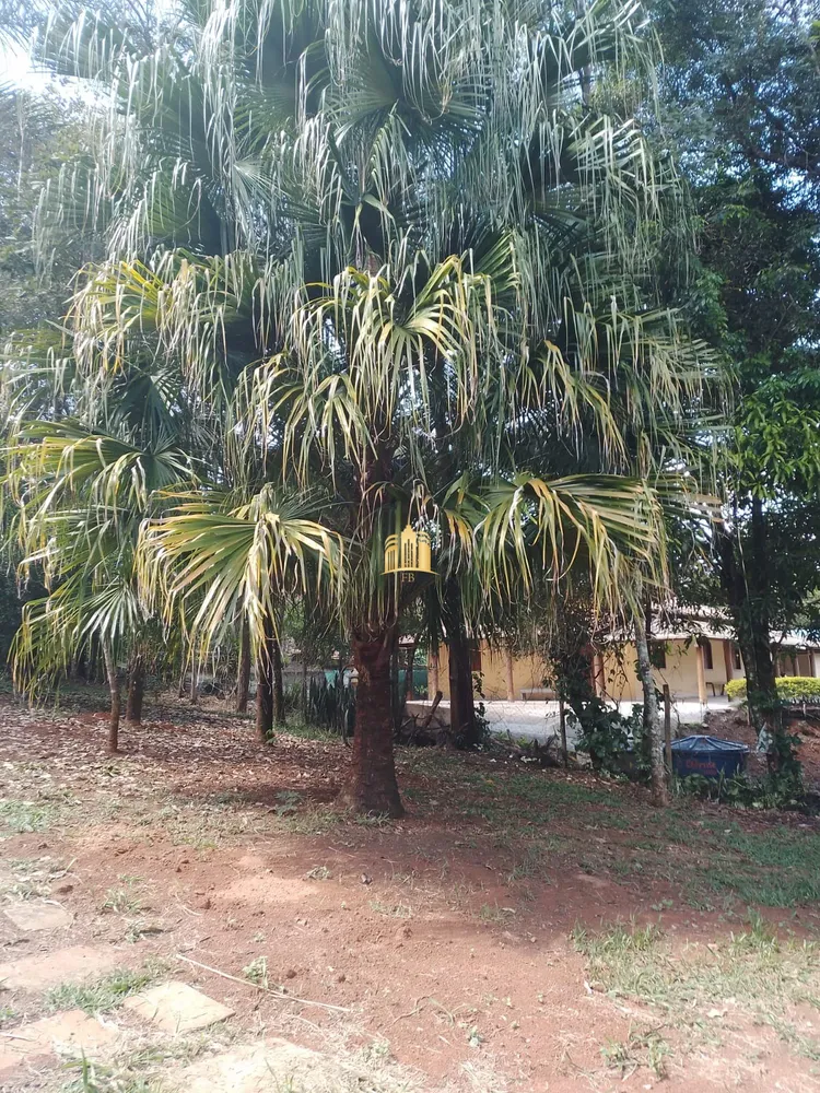 Chácara, 3 quartos, 5500 m² - Foto 7