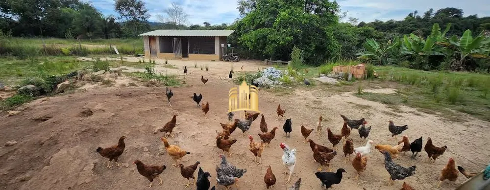 Chácara, 4 quartos, 2000 m² - Foto 4