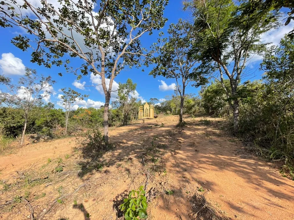 Terreno, 5000 m² - Foto 5