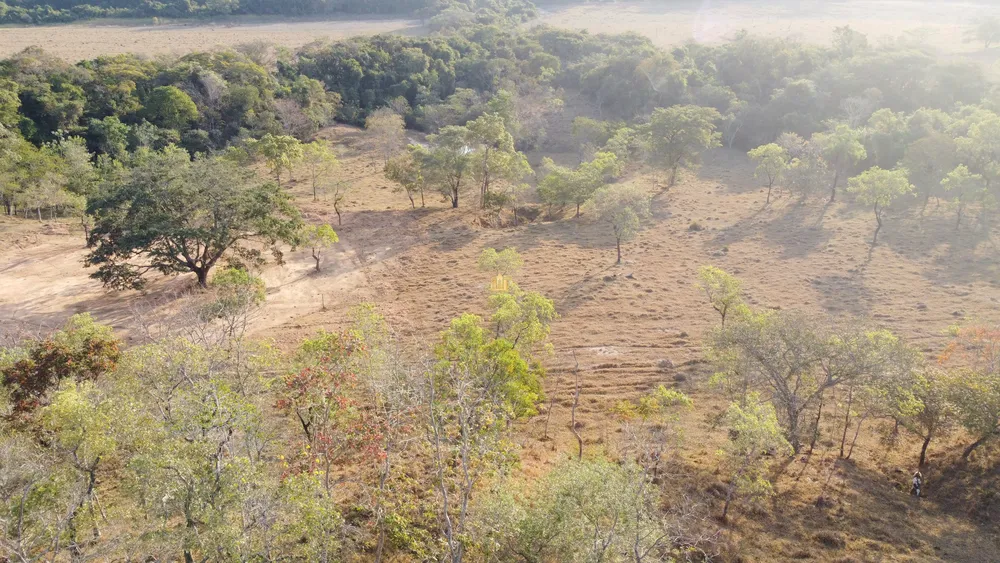 Terreno, 2 hectares - Foto 10