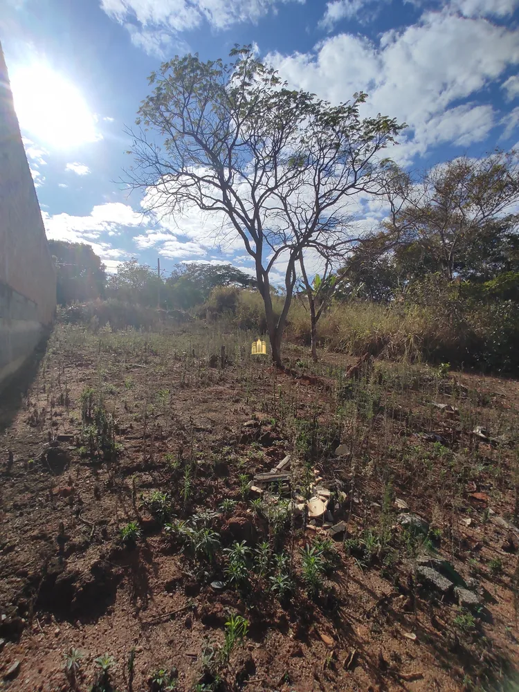 Terreno, 450 m² - Foto 7