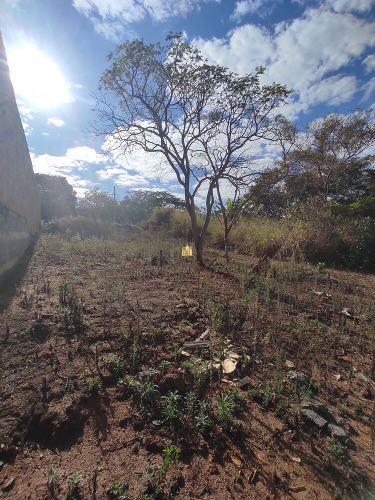 Terreno, 450 m² - Foto 10