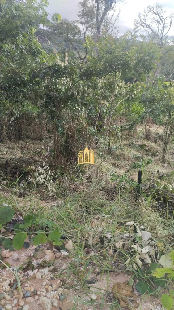 Terreno, 360 m² - Foto 7