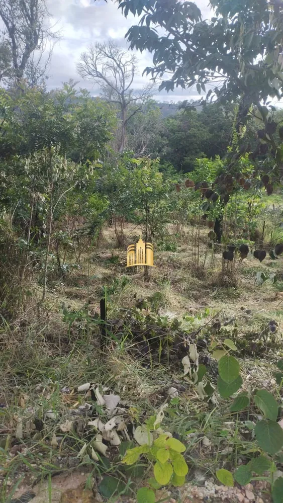 Terreno, 360 m² - Foto 6