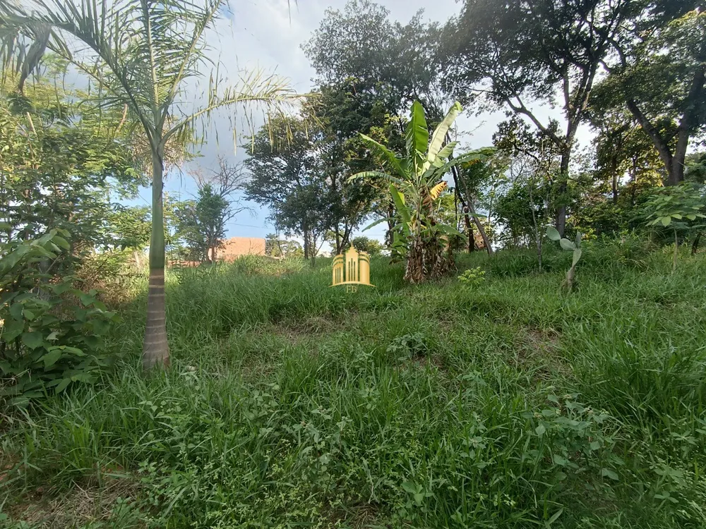 Chácara, 4 quartos, 2000 m² - Foto 4