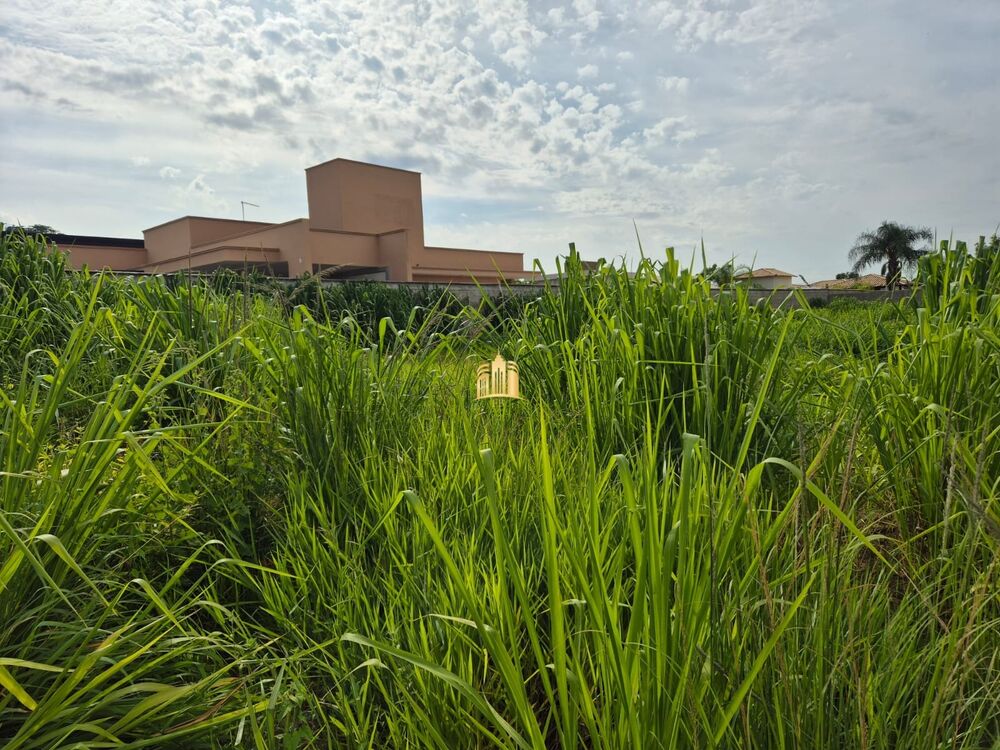 Terreno, 1100 m² - Foto 3