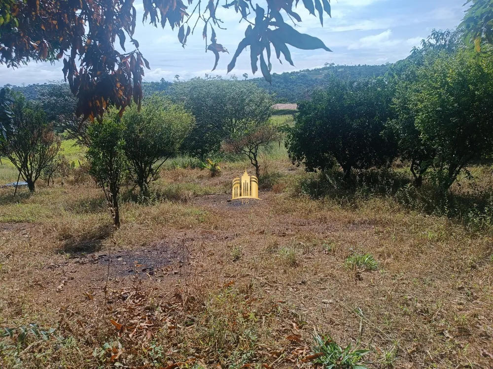 Sítio, 6 quartos, 5000 m² - Foto 1