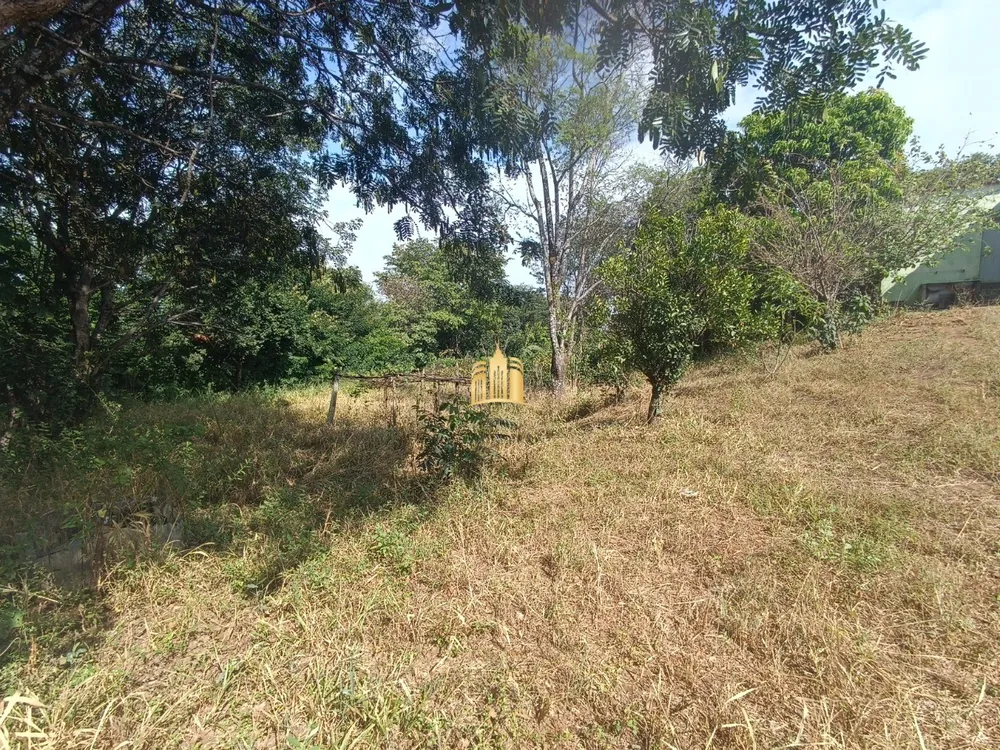 Chácara, 6 quartos, 5000 m² - Foto 6