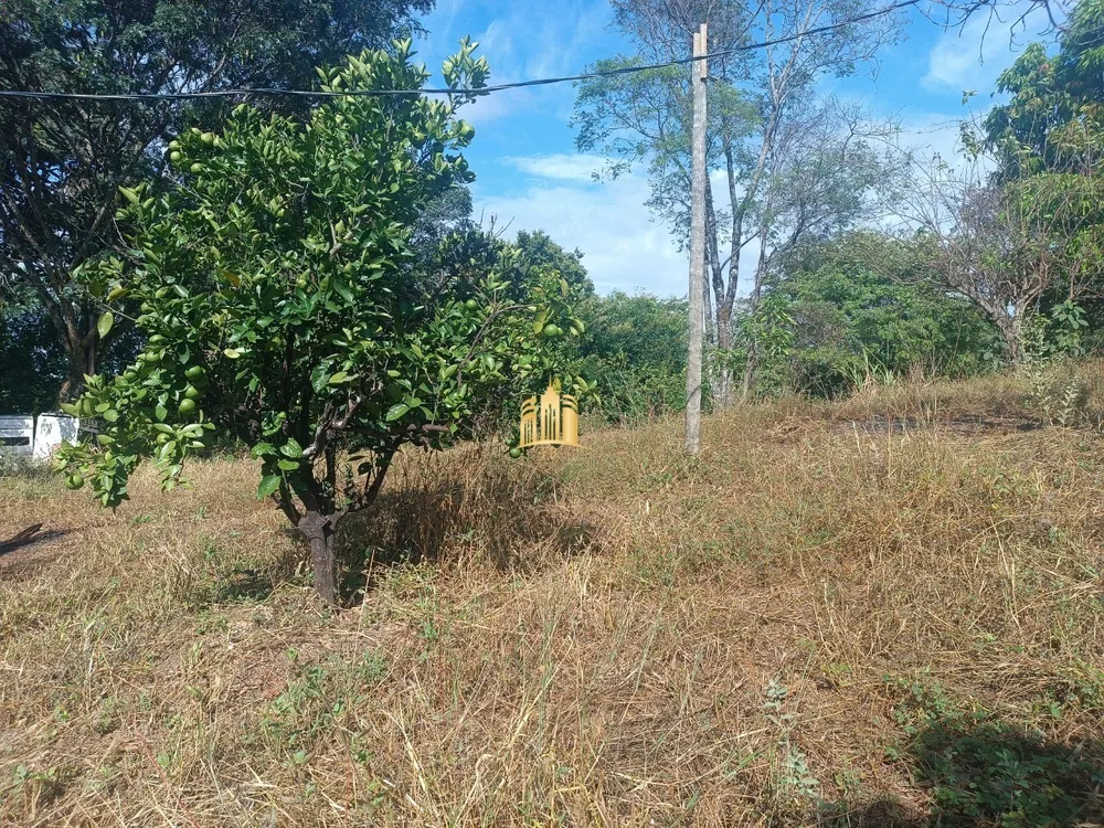 Chácara, 6 quartos, 5000 m² - Foto 3