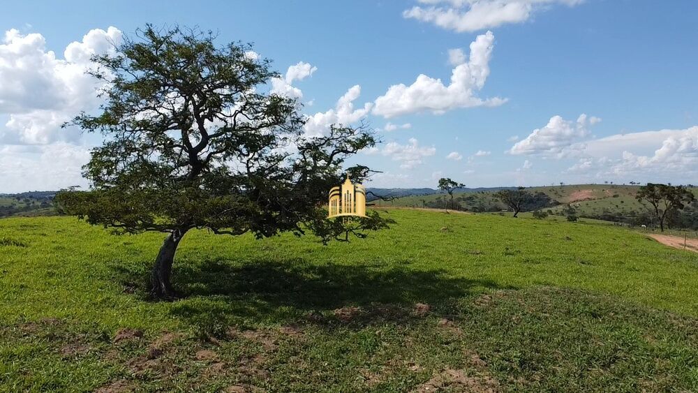 Terreno, 2 hectares - Foto 2