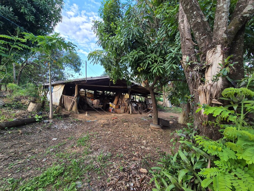 Sítio, 3 quartos, 2 hectares - Foto 4