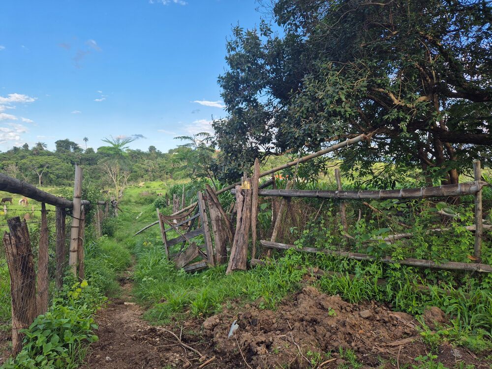 Sítio, 3 quartos, 2 hectares - Foto 3