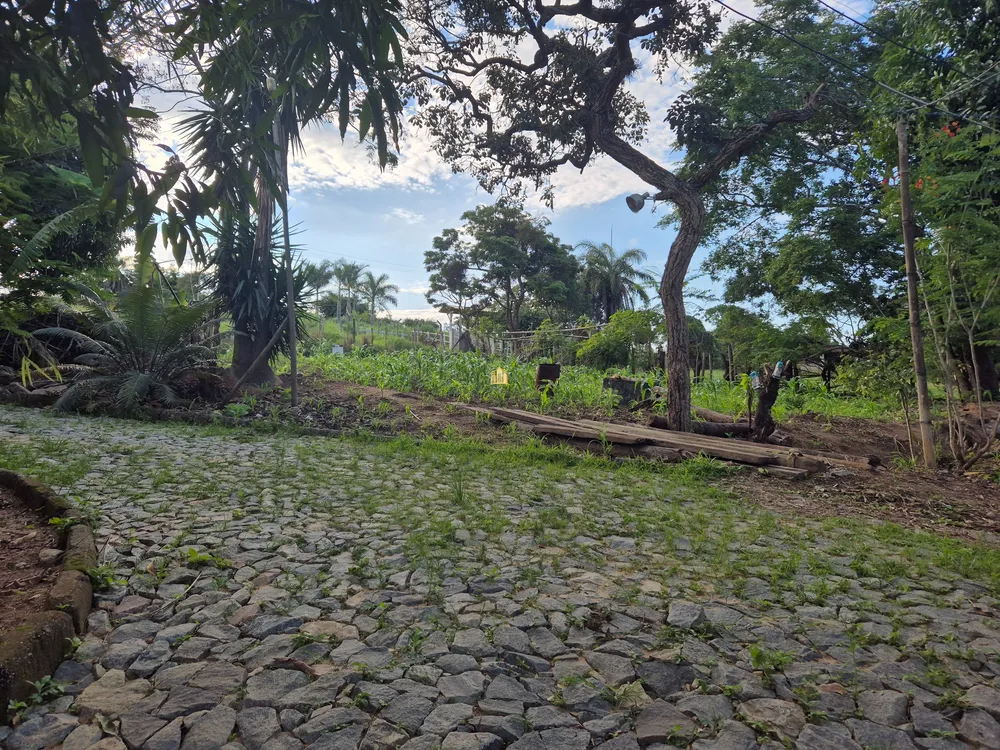 Sítio, 3 quartos, 2 hectares - Foto 11