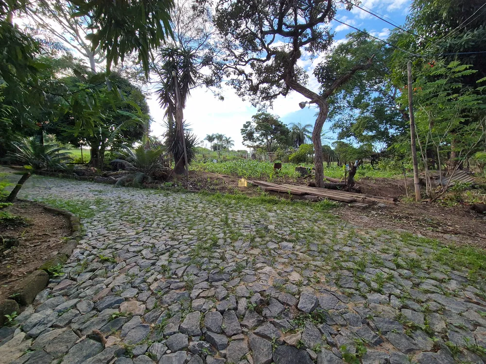 Sítio, 3 quartos, 2 hectares - Foto 12