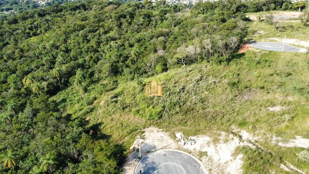 Terreno, 6009 m² - Foto 6