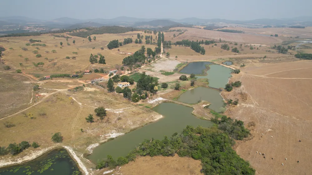 Fazenda, 248 hectares - Foto 9