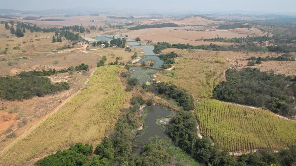 Fazenda à venda com 13 quartos, 2480000m² - Foto 4