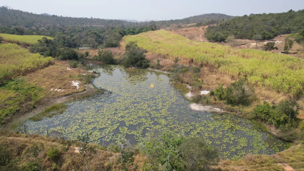 Fazenda, 248 hectares - Foto 11