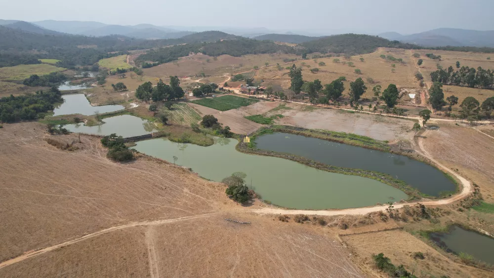 Fazenda à venda com 13 quartos, 2480000m² - Foto 1