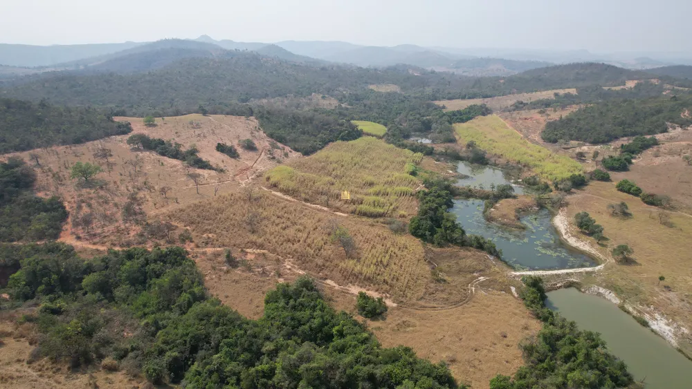 Fazenda, 248 hectares - Foto 6