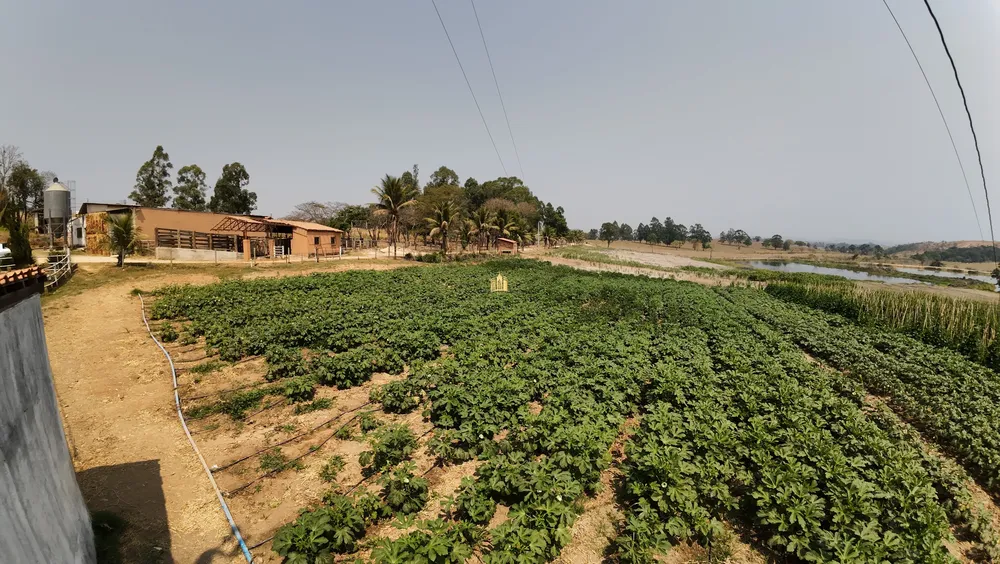 Fazenda, 248 hectares - Foto 13