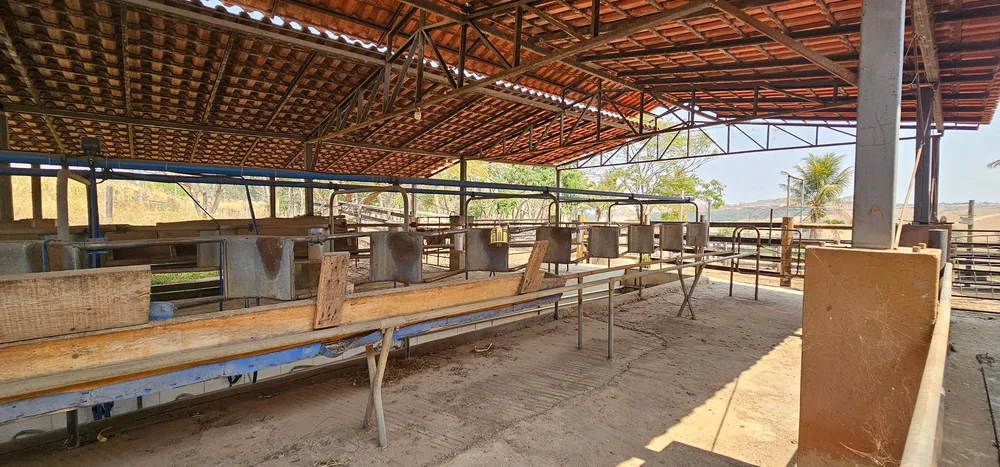 Fazenda, 248 hectares - Foto 18