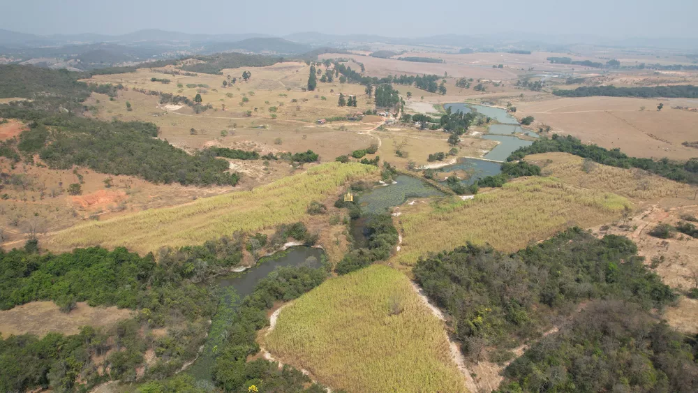 Fazenda à venda com 13 quartos, 2480000m² - Foto 5