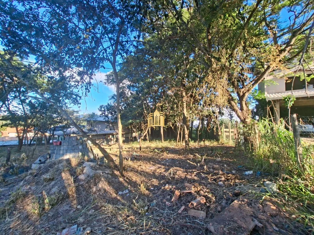 Terreno, 3000 m² - Foto 2
