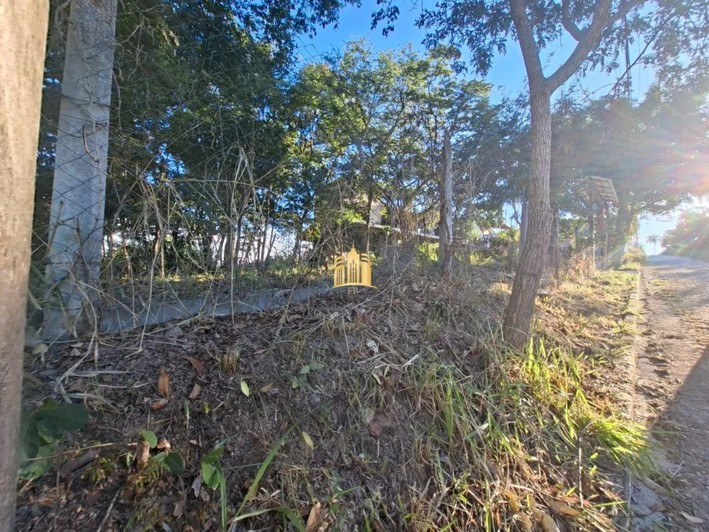 Terreno, 3000 m² - Foto 4