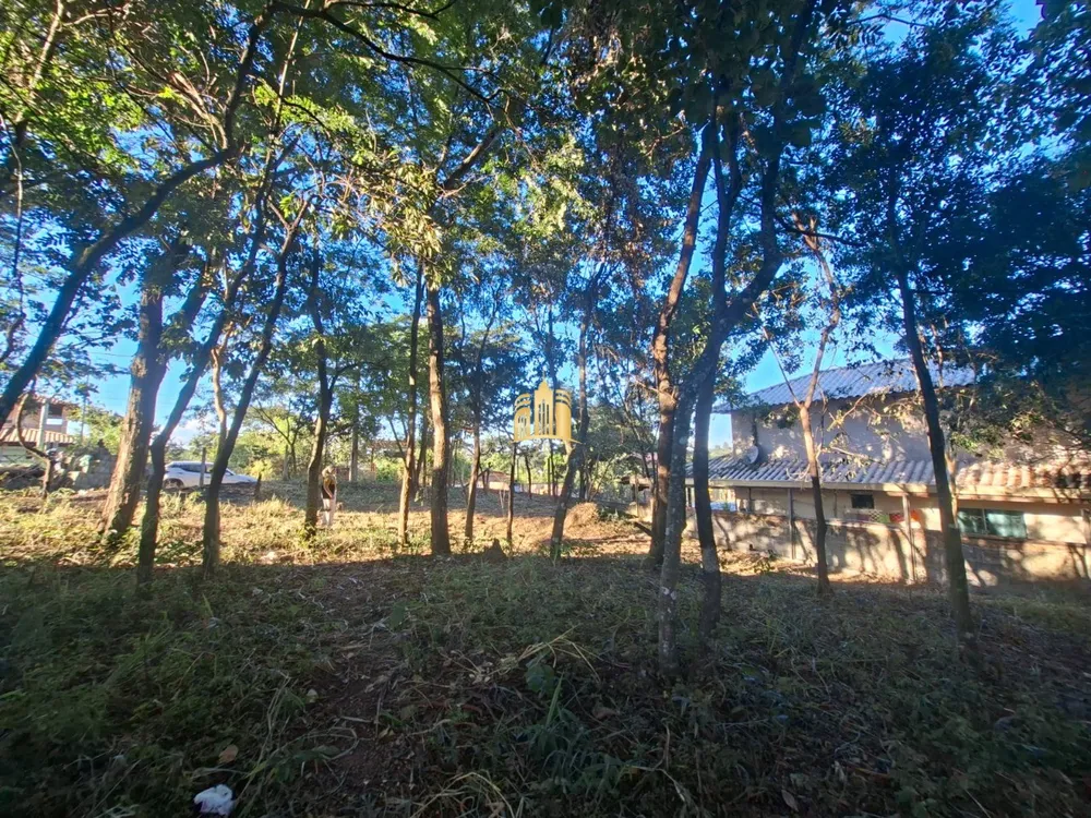 Terreno, 3000 m² - Foto 1