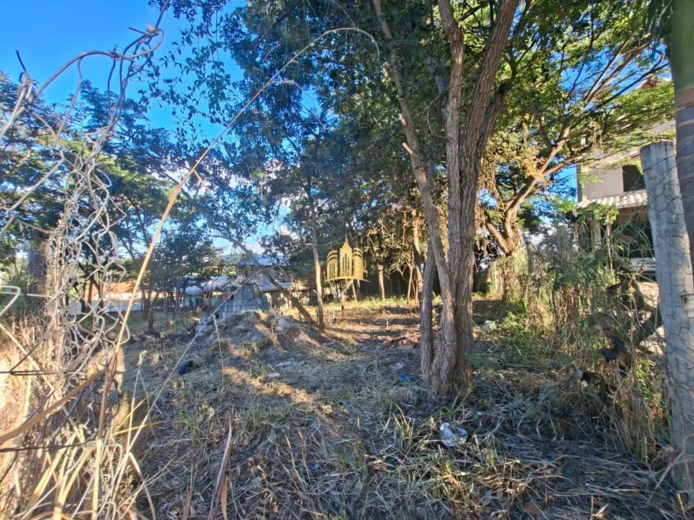 Terreno, 3000 m² - Foto 7
