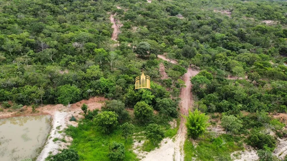 Fazenda, 134 hectares - Foto 8