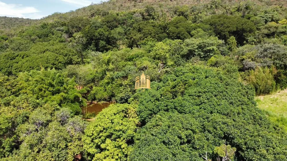 Fazenda, 134 hectares - Foto 14