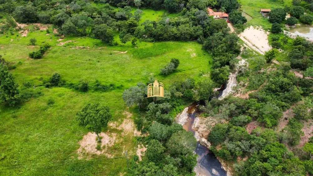Fazenda, 134 hectares - Foto 10