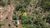 Fazenda, 134 hectares - Foto 6
