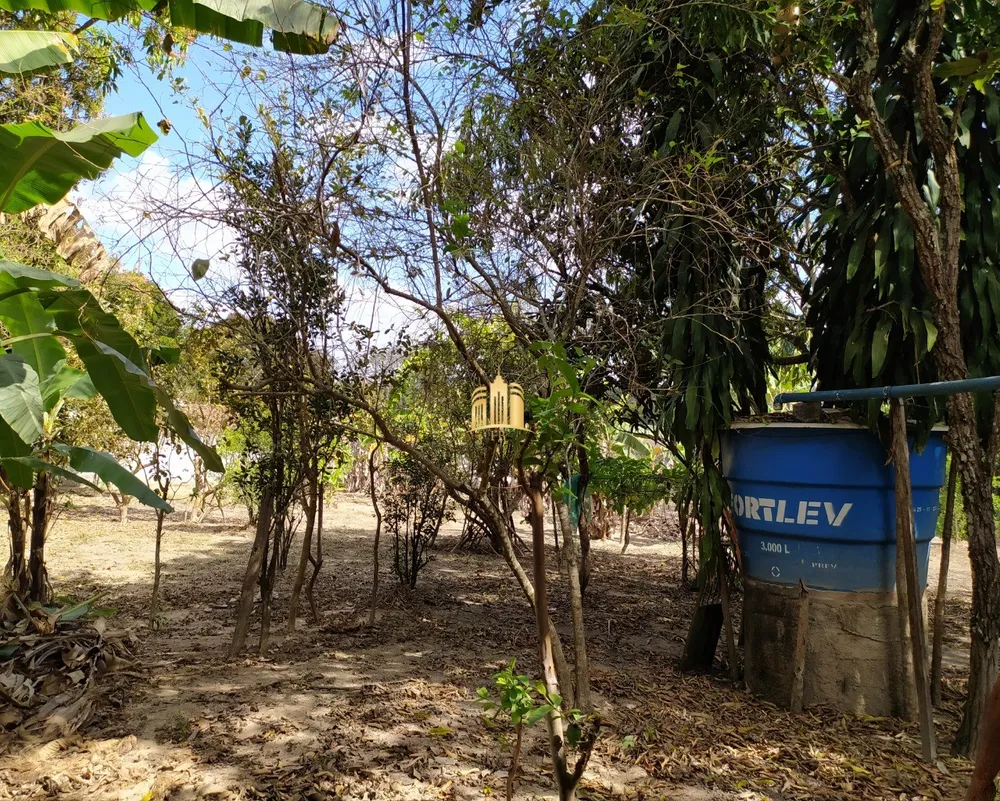 Sítio, 3 quartos, 4000 m² - Foto 8