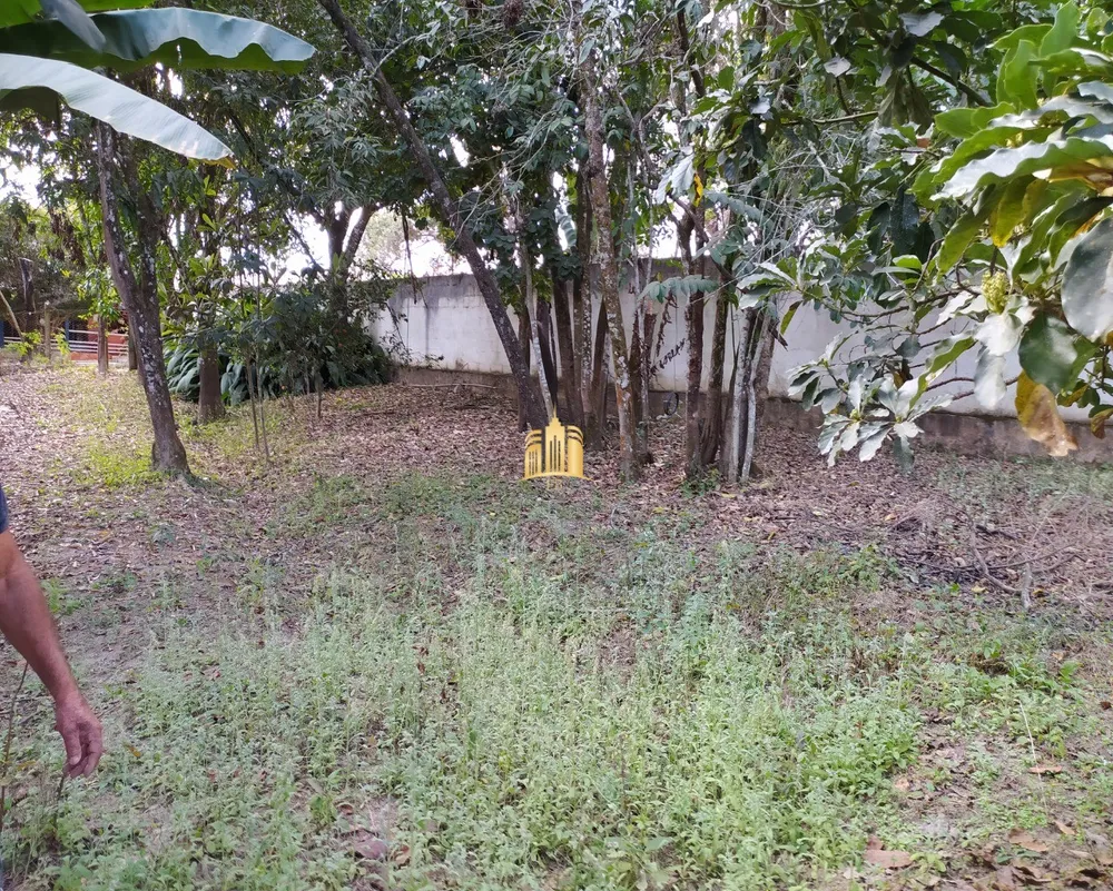 Sítio, 3 quartos, 4000 m² - Foto 4