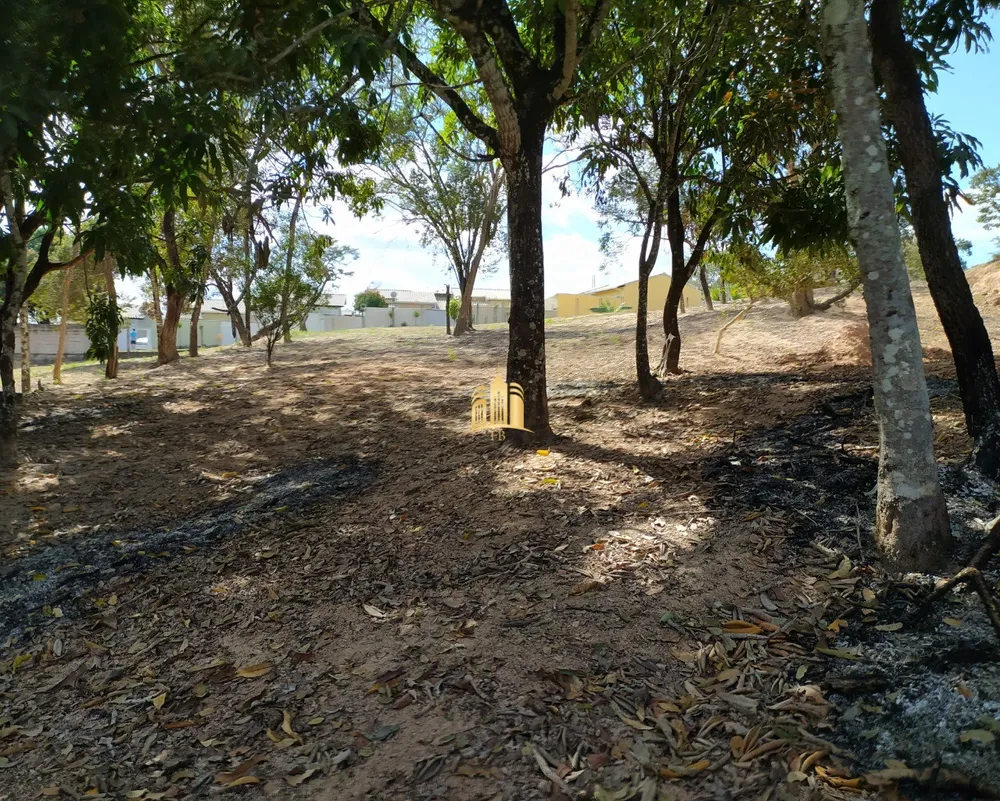 Sítio, 3 quartos, 4000 m² - Foto 3