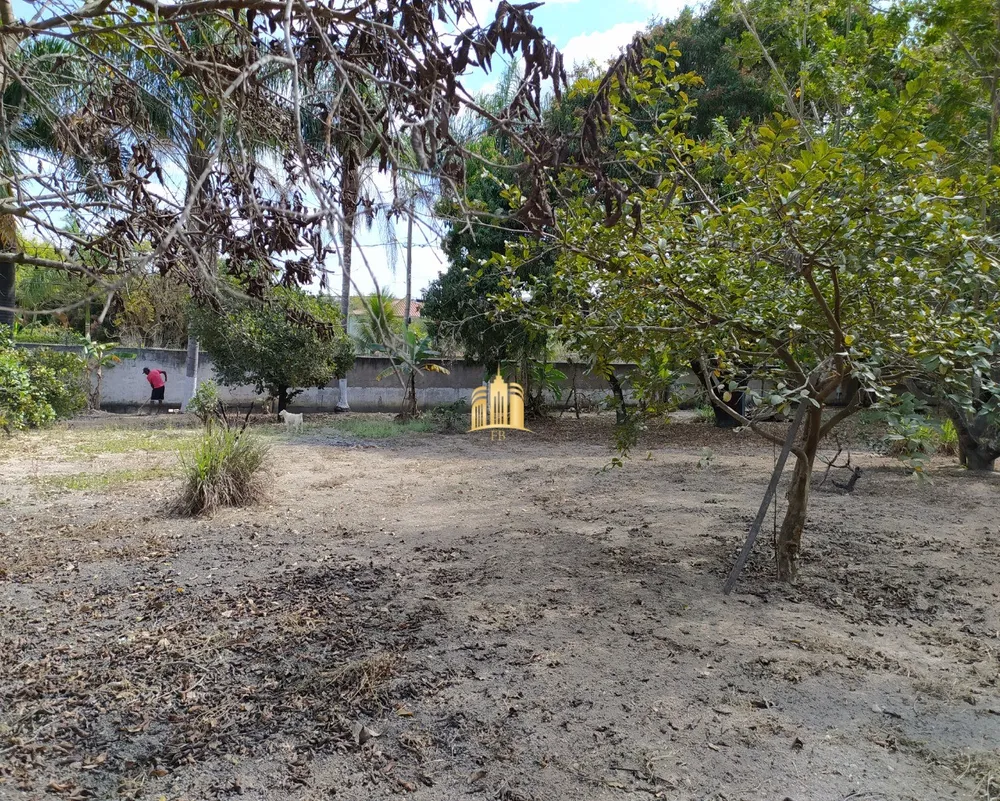 Sítio, 3 quartos, 4000 m² - Foto 2