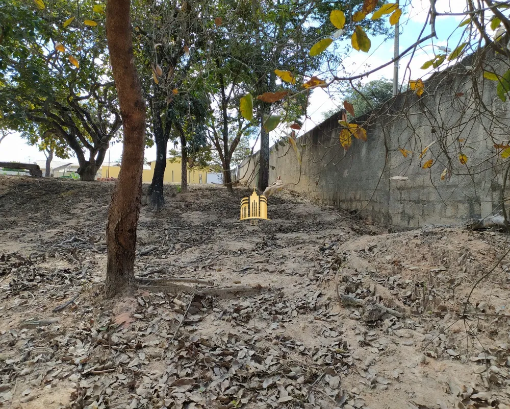 Sítio, 3 quartos, 4000 m² - Foto 3