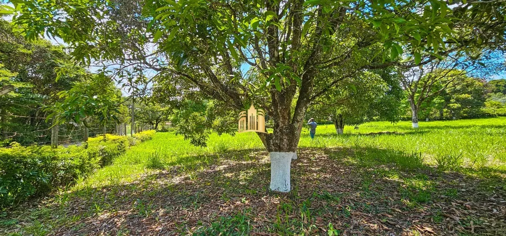 Terreno, 1462 m² - Foto 4