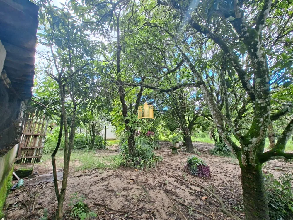 Sítio, 6 quartos, 1000 m² - Foto 4