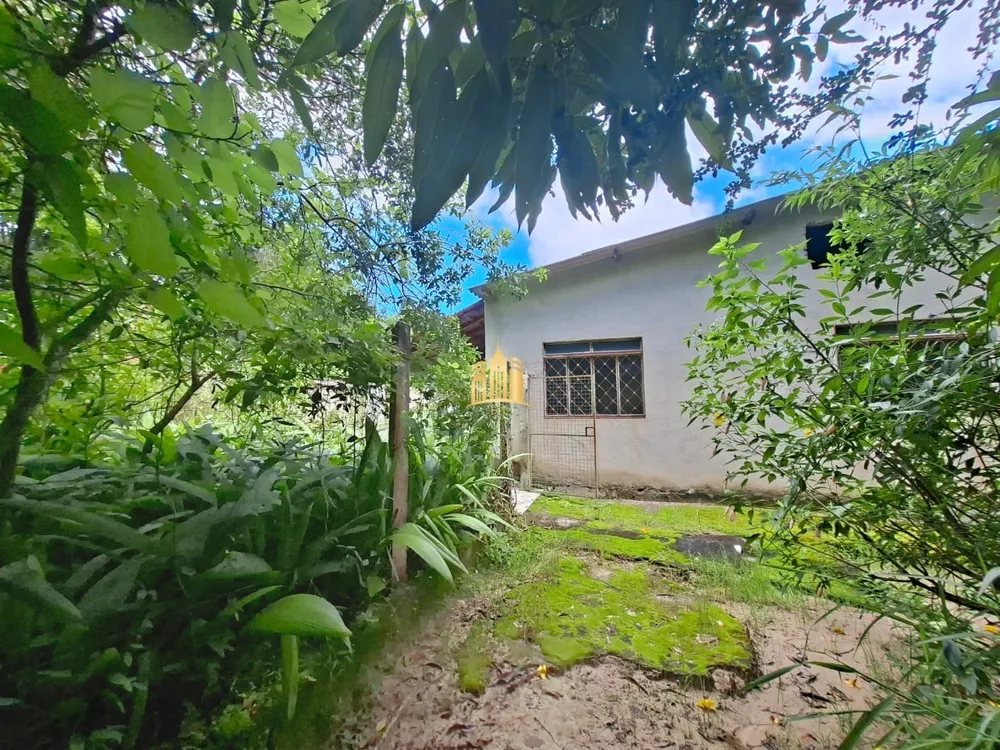 Sítio, 6 quartos, 1000 m² - Foto 3